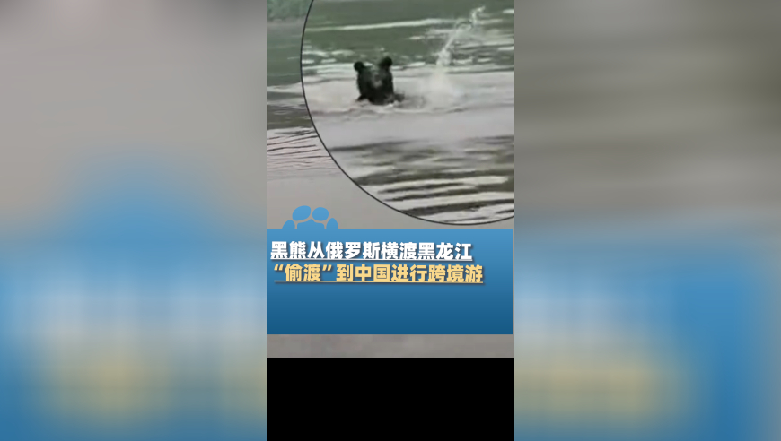 房东收到3千陌生转账租客要求转回,7777788888精准管家婆免费,经典解释落实_储蓄版V11.2